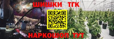 spice Дубна