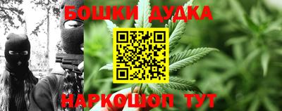 spice Дубна